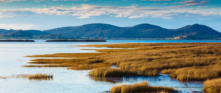 Un Día Mundial para recordarnos la importancia de los humedales como fuente de agua Bluegold