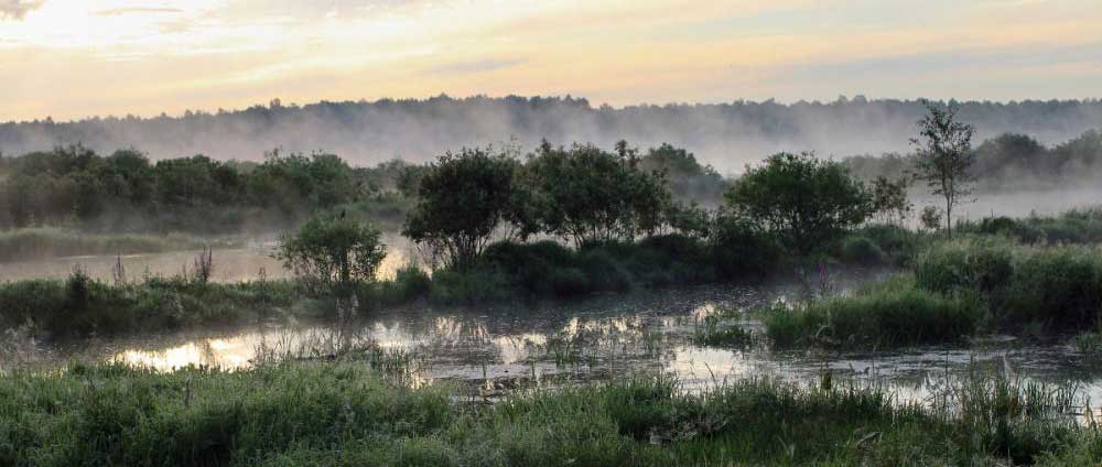 Una investigación sobre 48 ciudades resalta la importancia de la naturaleza para la desinfección en el saneamiento del agua Blue Gold