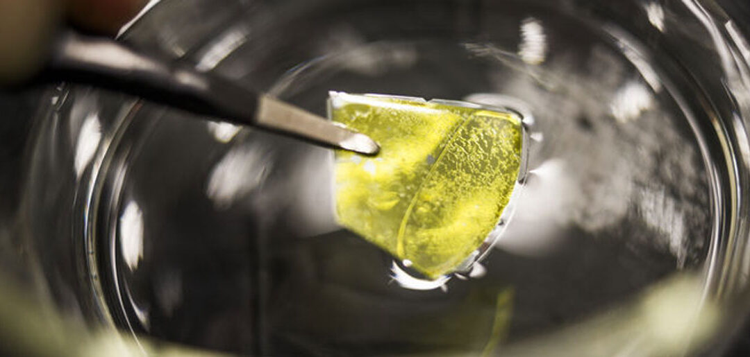 Una-investigación-para-hacer-la-producción-de-hidrógeno,-aún-más-sostenible-BlueGold
