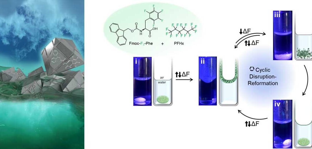 Un-material-inspirado-en-un-proceso-natural-efectivo-ante-PFAS-BlueGold