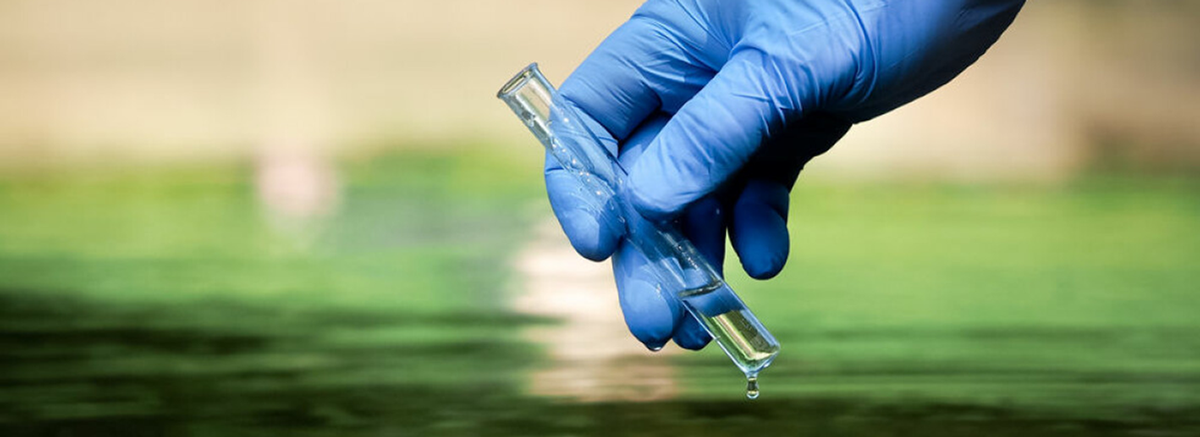Sensores para la detección temprana de toxinas en el agua Bluegold