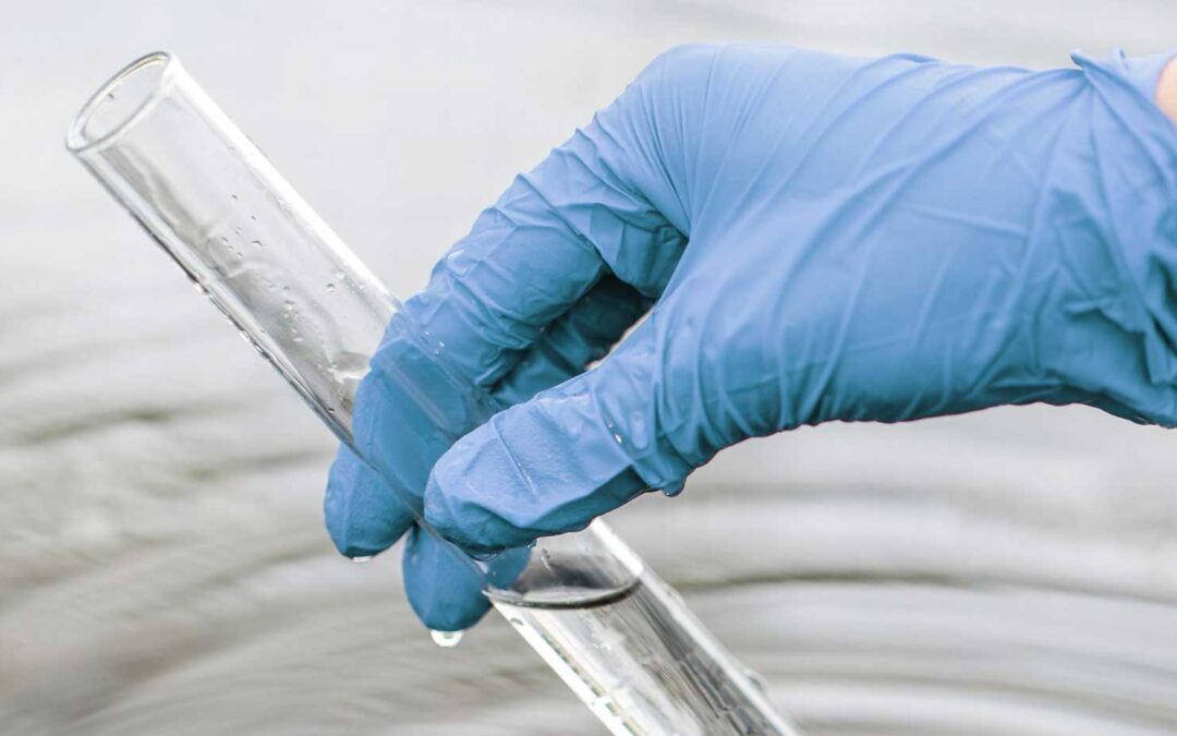 Un estudio que lleva a un mejor conocimiento de las sustancias PFAS BlueGold