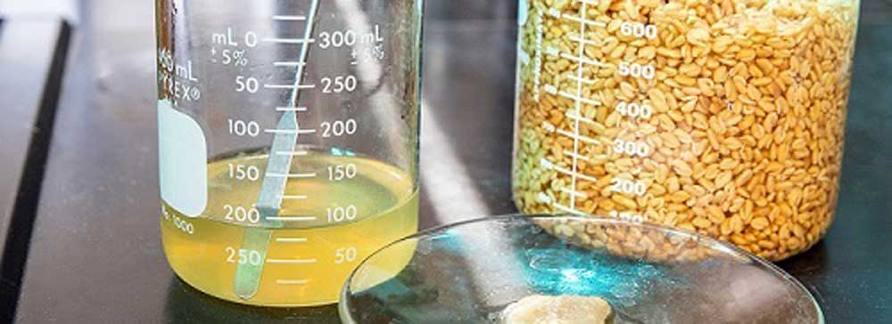 Extracto-de-plantas--de-calidad-alimentaria-para-la--eliminación-de-microplásticos-BlueGold