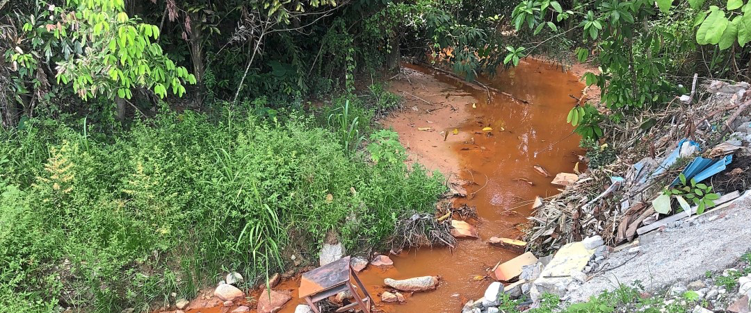La resistencia antibiótica de las bacterias, puede ser aumentada por la contaminación por metales BlueGold