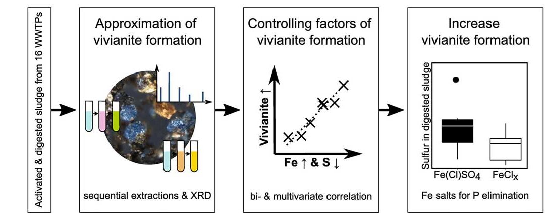 Recuperación-de-fósforo-en-el-proceso-de-tratamiento-de-aguas-BlueGold
