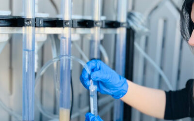 An adsorbent material for the removal of PFAS substances