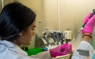 A system for capturing fog and dew water with organic crystals