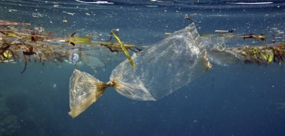 Una investigación desarrolla un método novedoso para la degradación de nanoplásticos en el agua