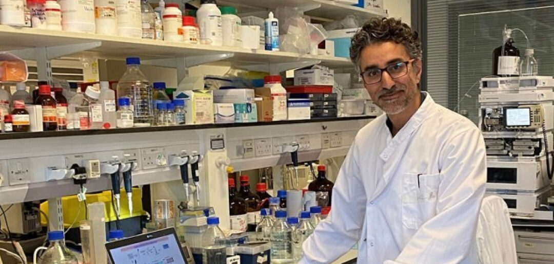 Un estudio pionero para comprender el impacto de los microplásticos en la salud