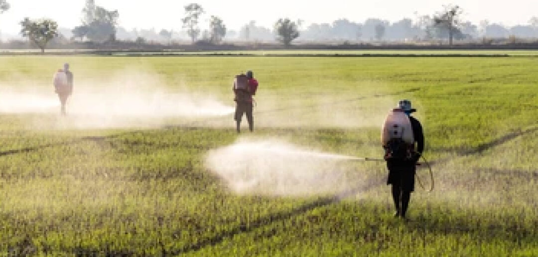 Eliminación de pesticidas en el tratamiento de agua con un nuevo material MOF