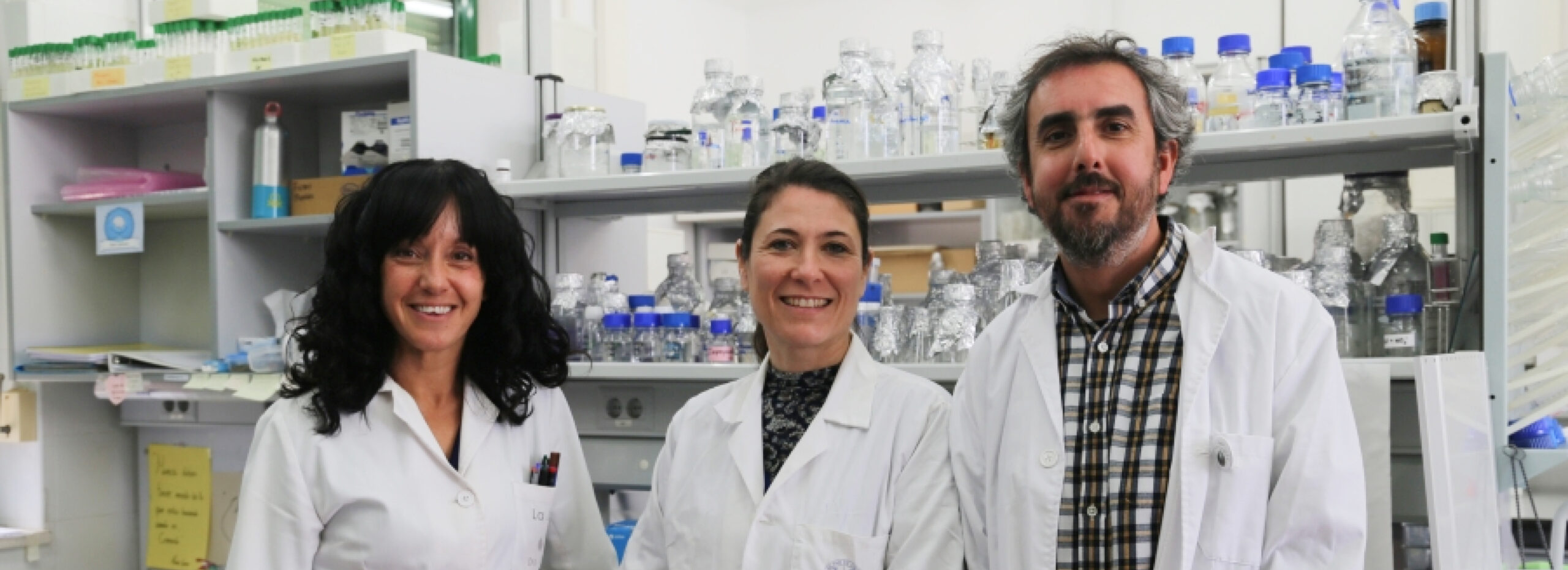 Hidrógeno verde y purificación de agua a través de una combinación de algas y bacterias