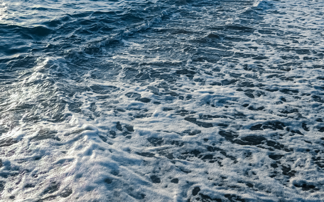 Acumulación de bacterias y antibióticos en la superficie de aguas costeras Bluegold