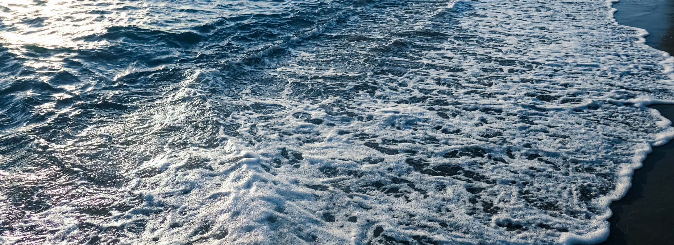 Acumulación de bacterias y antibióticos en la superficie de aguas costeras Acumulación de bacterias y antibióticos en la superficie de aguas costeras Bluegold