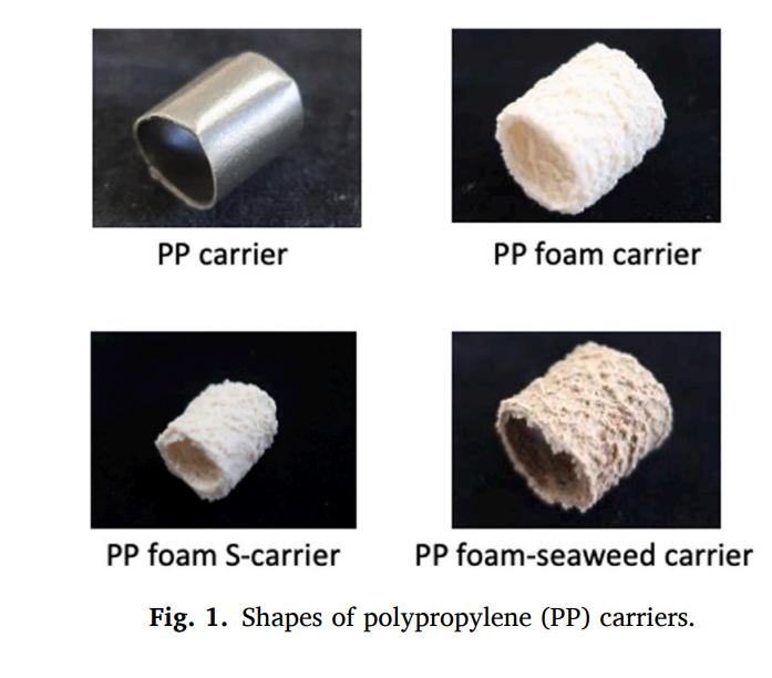 Azuma et al. (2024), Environmental Technology & Innovation
