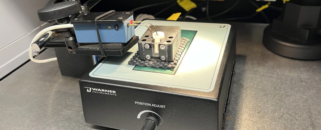 Detección precisa de PFAS con tecnología de nanoporos