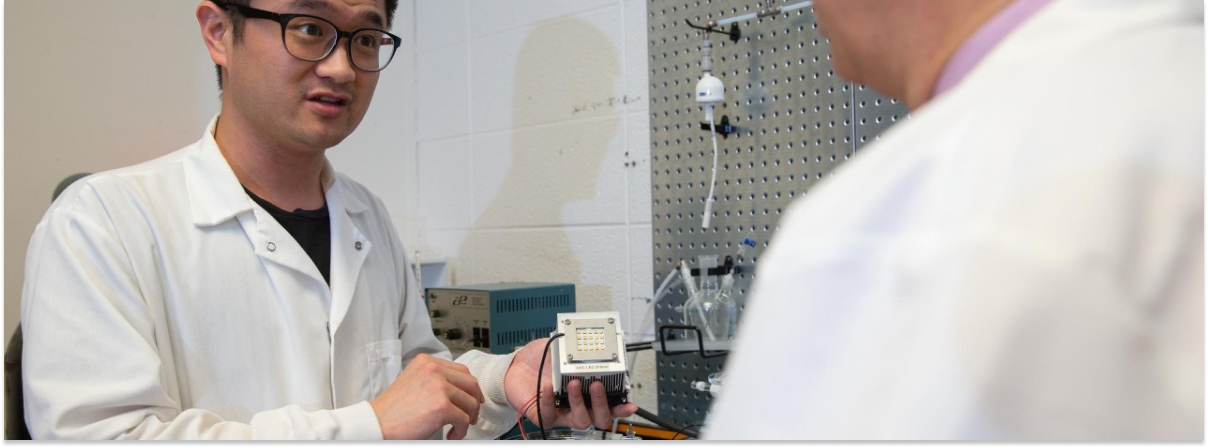 Eliminación de microcistinas con luz UV y cloro en agua potable bluegold