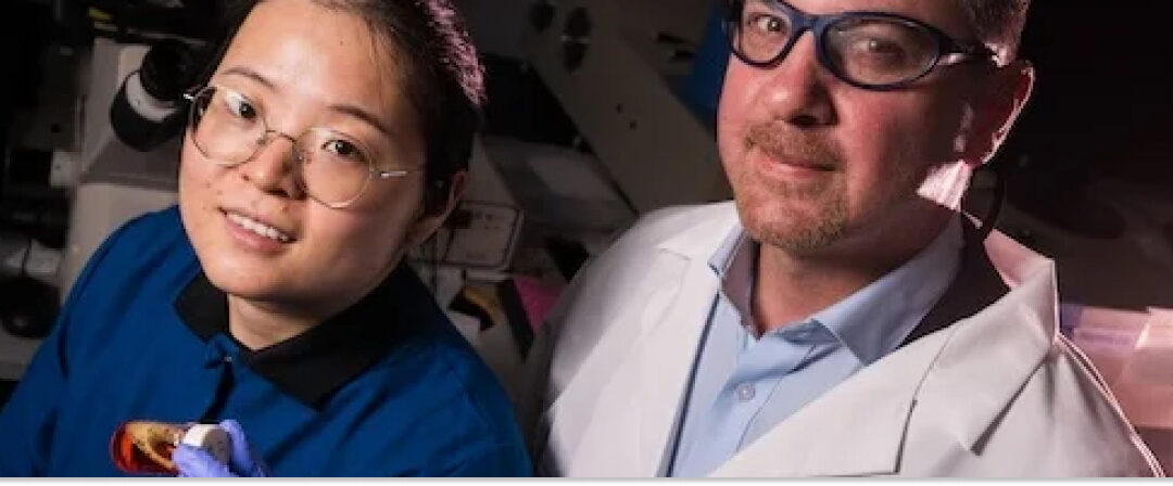Química sin disolventes nueva vía para aguas industriales Bluegold