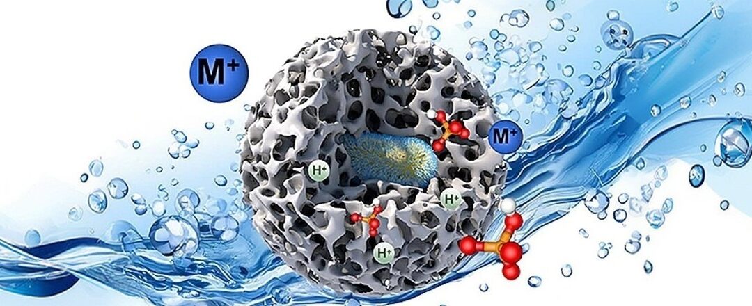 Desalinización de precisión con nanoporos funcionalizados