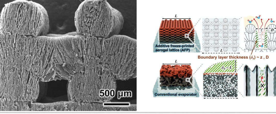 Estructura porosa vertical del aerogel impreso en 3D observada al microscopio electrónico