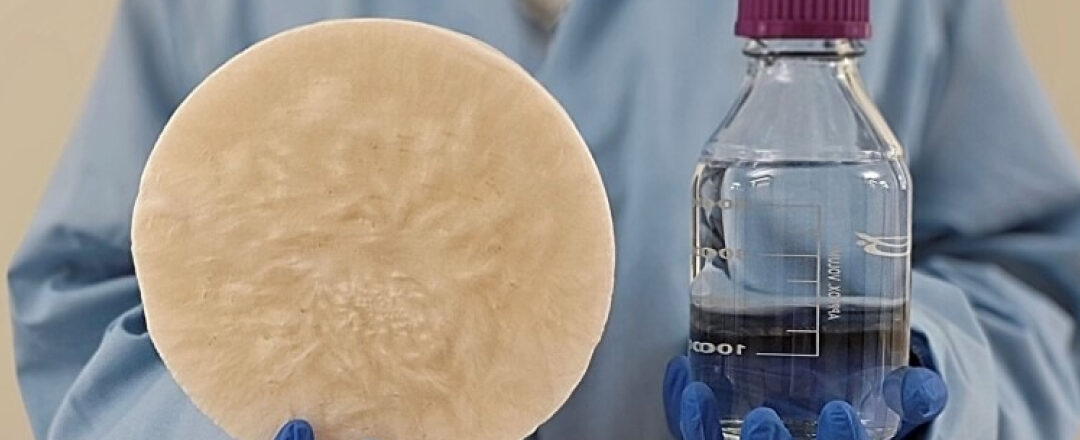 Captación sostenible de agua atmosférica mediante hidrogeles biodegradables
