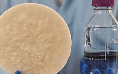 Captación sostenible de agua atmosférica mediante hidrogeles biodegradables