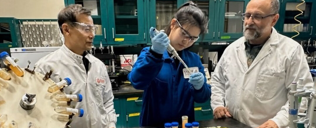 Investigadores en laboratorio midiendo la adsorción de PFOS en pruebas con hierro micronizado