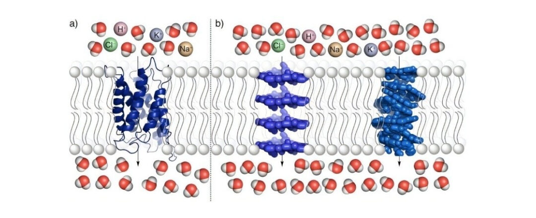Nuevas membranas para desalinización: nanocanales de aramida de alta selectividad