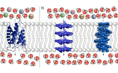 Nuevas membranas para desalinización: nanocanales de aramida de alta selectividad