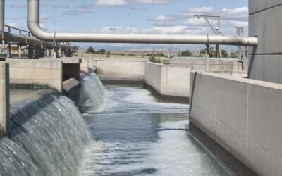 Tratamiento de aguas con biofilm algal giratorio: cómo mejora la cinética de eliminación de TDS