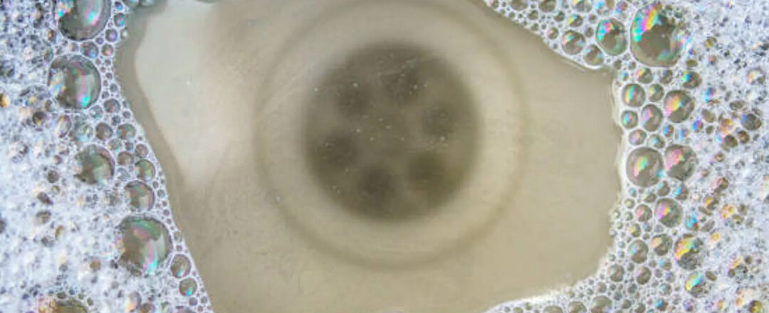 Desagüe con biopelícula y espuma; reservorio potencial de patógenos resistentes en fontanería.