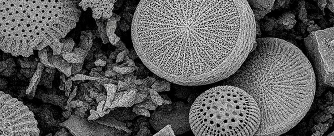 Remoción de microplásticos del agua potable: avance con fotólisis UVC y adsorción