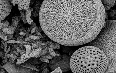 Remoción de microplásticos del agua potable: avance con fotólisis UVC y adsorción